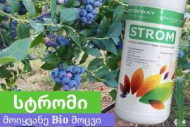 გროუვეი სტრომი  GROWWAY STROM   #სტრომი