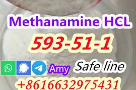 CAS 593-51-1 - Methylamine hydrochloride Factory S