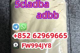 Strongest 5cladba Raw Material 5CL-ADB Precursor