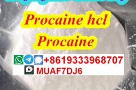 Procaine cas59-46-1 procaine Base procaine powder 