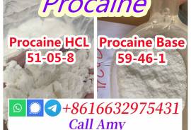 CAS 59-46-1 Procaine Hot Sale 