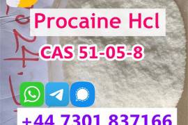 Procaine Hydrochloride Manufacturer Direct Sale