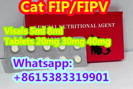 Cat medicine FIPV treatment FIP FIPV