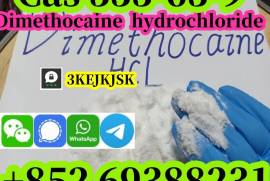 best quality Dimethocaine hydrochloride Cas 553-63