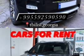 Cars for rent