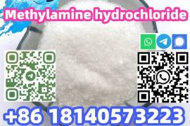  Hot sale CAS 593-51-1 Methylamine hydrochloride 