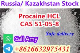 CAS 51-05-8 Procaine Hcl Procaine Hydrochloride