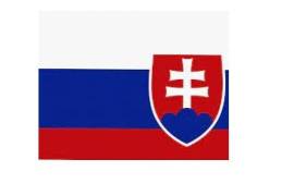 სლოვაკური ენის თარჯიმანი