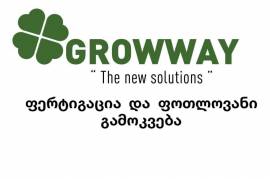 სასუქი NPK 20-20-20 GROWWAY 