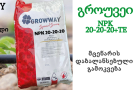 სასუქი NPK 20-20-20 GROWWAY 