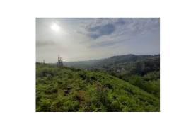 For Sale, Real Estate, Lands