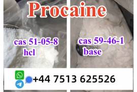 cas 59-46-1 Procaine base powder Procaine Hcl