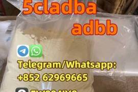 Best quality 5cladba 5f 5cl yellow powder 5cl-adb