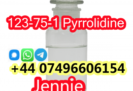 HOT Sale Pyrrolidine CAS 123-75-1 Top-Grade Chemic