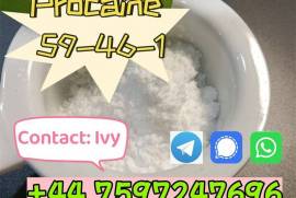 procaine powder best price cas 59-46-1 procaine