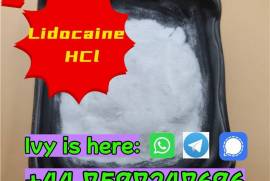 Hcl lidocaine powder cas 73-78-9 lidocaine price