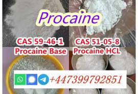 CAS 59-46-1 Procaine High quality 99%