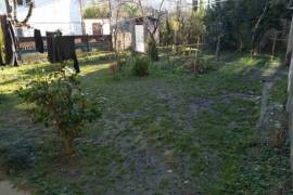 For Sale, Real Estate, Houses / Cottages, Zugdidi