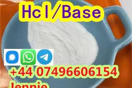 selling Procaine base CAS 59-46-1 /51-05-8 / proca