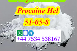 Procaine Hydrochloride CAS51-05-8 free sample 