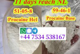 Procaine cas59-46-1 procaine Base procaine powder 