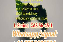 Professional Supplier L-Serine Powder CAS 56-45-1