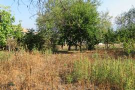 For Sale, Real Estate, Houses / Cottages, Tserovani