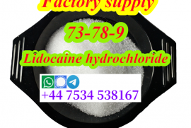 Lidocaine137-58-6 Lidocaine hydrochloride 73-78-9