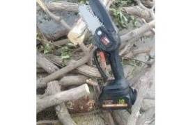 electric chainsaw ( ცეპიანი ხერხი )დრუჟბა