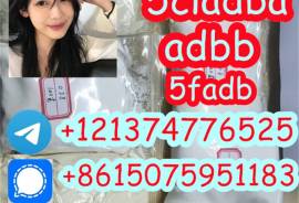 5CL-ADB supplier 5cladb 5cladba vendor on sale now