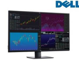 Dell UltraSharp 43" 4K U4320Q IPS (3840 x 216