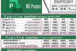 MS Project_პროჯექტი