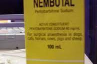 Pure Sodium Nembutal for peaceful end.