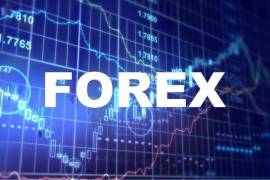 მუშაობა FOREX-ზე