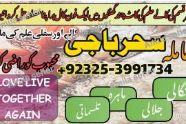 Leader Of Online SPell Contact NO +923253991734