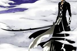 Bleach Ichigo Sword / Katana - კატანა / ხმალი