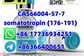 CAS66004-57-7 somatotropin (176-191)  best price