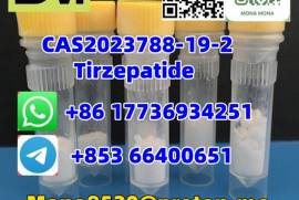 CAS2023788-19-2 Tirzepatide C225H348N48O68 