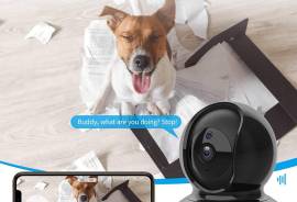 ✅Wansview Wireless Cloud PTZ IP Camera 1080P X20