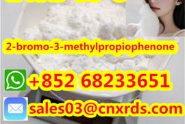  High quality CAS:1451-83-8       2-bromo-3-methyl