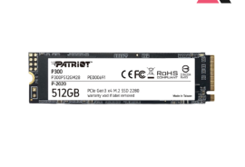 მყარი დისკი: Patriot P300 512GB M.2 NVMe SSD