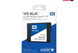 მყარი დისკი: Western Digital Blue 250GB SSD