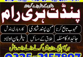 VashiKaran specialist top best amil baba usa