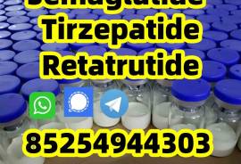 Semaglutide 910463-68-2;Tirzepatide 2023788-19-2; 