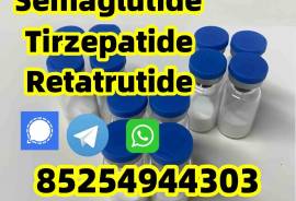 Semaglutide 910463-68-2;Tirzepatide 2023788-19-2; 