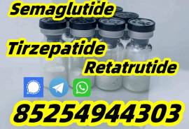 Semaglutide 910463-68-2;Tirzepatide 2023788-19-2; 