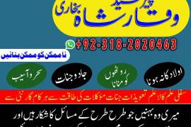 Topno1 Amil Baba In Pakistan Amil Baba Divorce Pro