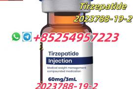 Semaglutide 910463-68-2 ,Tirzepatide 2023788-19-2 