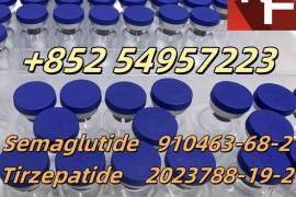 Semaglutide 910463-68-2 ,Tirzepatide 2023788-19-2 