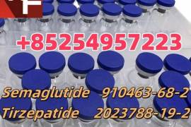 910463-68-2 2023788-19-2 2381089-83-2 Semaglutide 